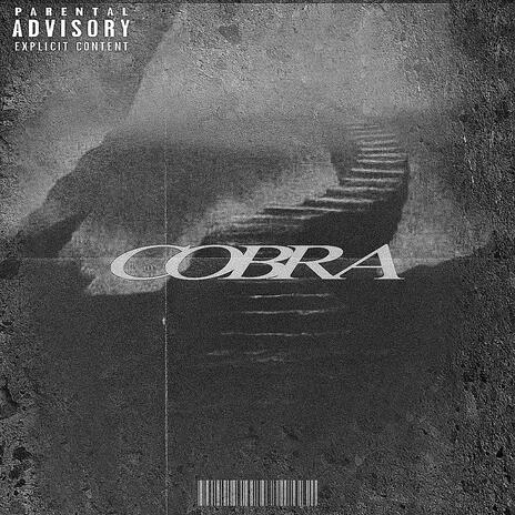 FOLLOW cover art
