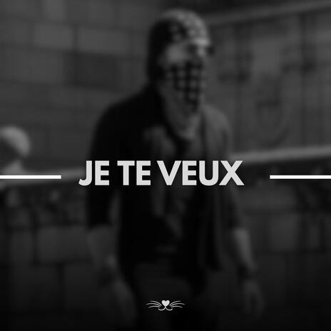 Je te veux (Special Version) cover art