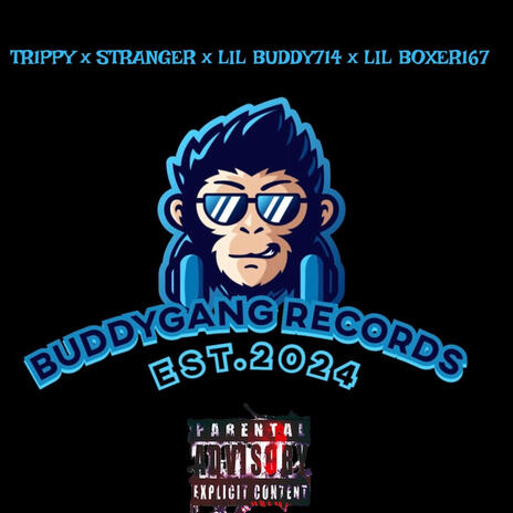 BGR ft. TR1PPY, STRANGER & LIL BOXER167 cover art