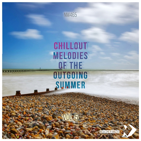 The Summer, a Dream (Friendly Tune Remix) cover art