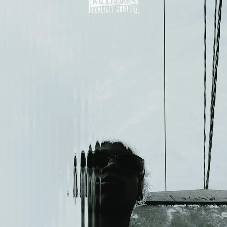 Cant Fall,Wont Fall ft. King Nxu cover art