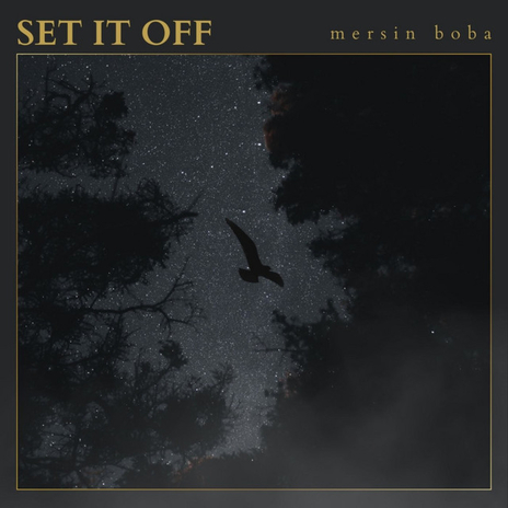 You lie cover art
