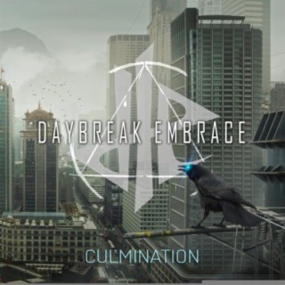 Daybreak Embrace