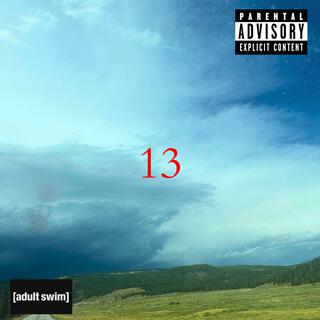 13