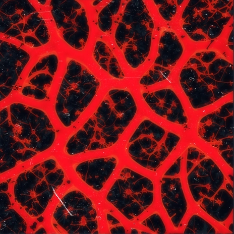 Defective cover art