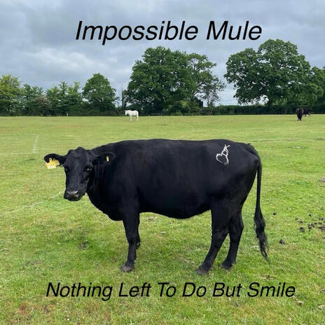 Never Want To Be Free cover art