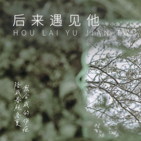 后来遇见他 (温柔版) ft. 辛小令 cover art