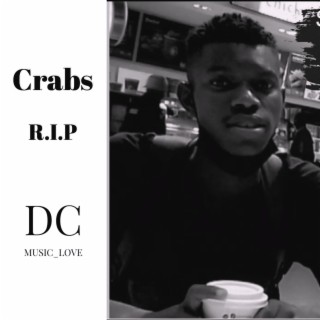 R. I. P (Rest In Pieces) cover art