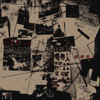 Orang Yang Salah (Remix) cover art