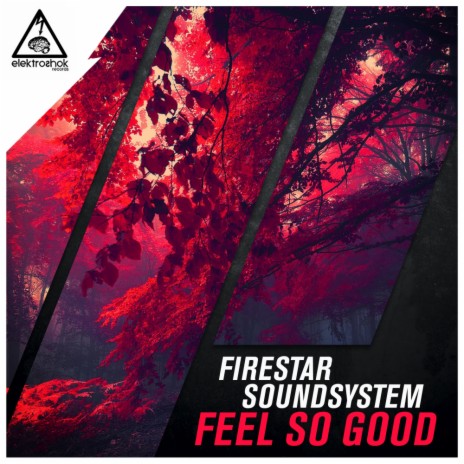 Feel So Good (Original Mix) cover art