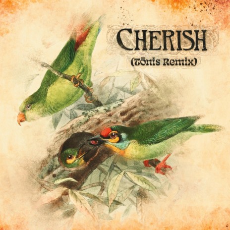 Cherish (Tōnis Remix) ft. Tōnis cover art