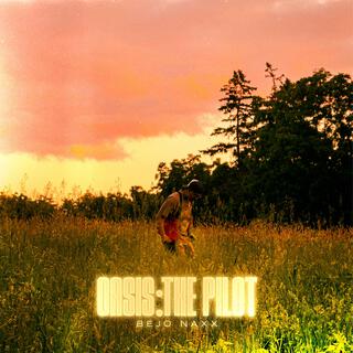 OASIS: The Pilot