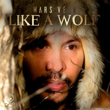 Like a Wolf cover art