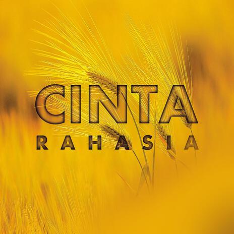 Cinta Rahasia