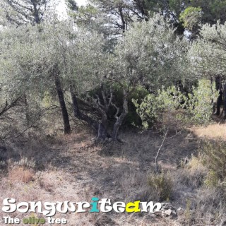 The olive tree