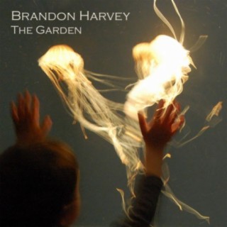 Brandon Harvey