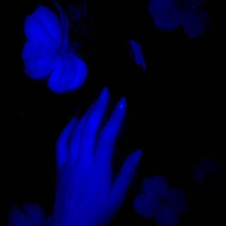 DANCE WITH ME