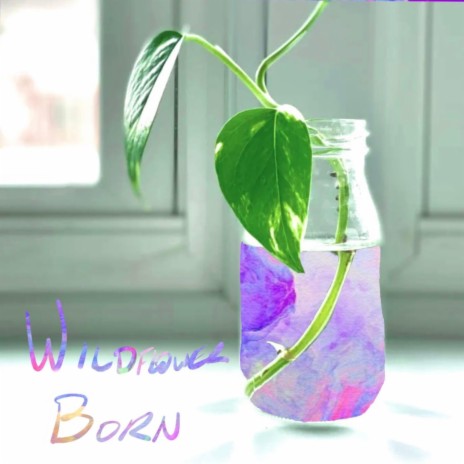 Wildflower Born cover art