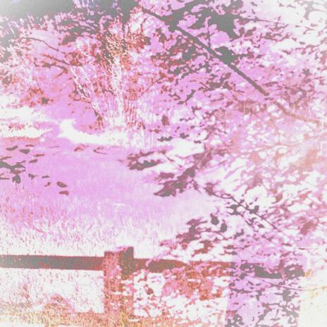 angel ft. India Alice cover art
