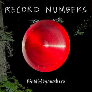 PAINtbynumbers