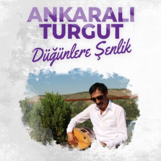 Düğünlere Şenlik