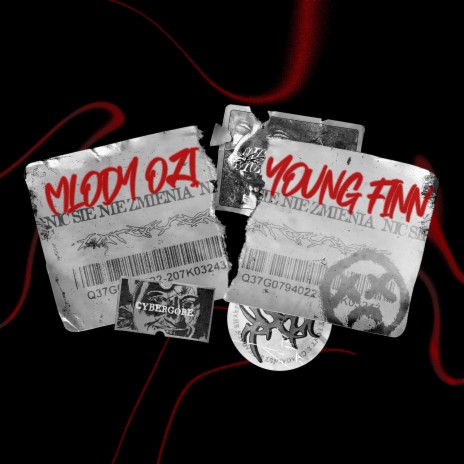 Nic się nie zmienia ft. Young Finn cover art