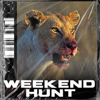 Weekend Hunt ft. Zehr Vibe cover art