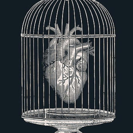 Ma prison cover art