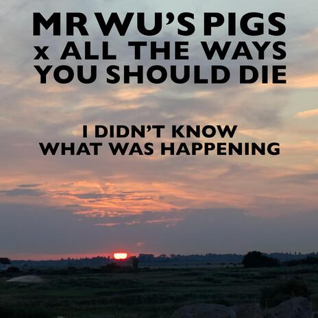 I Didn't Know What Was Happening ft. All The Ways You Should Die cover art