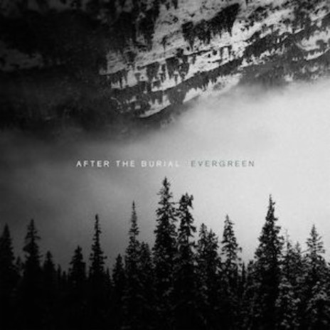 After The Burial cover art