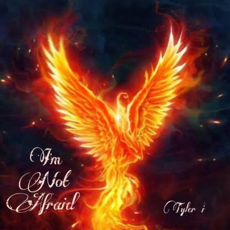 I'm Not Afraid cover art