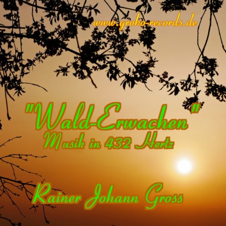 Wald-Erwachen - Entspannungsmusik in 432 Hertz cover art