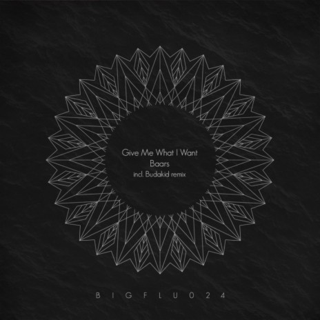 Give Me What I Want (Budakid Remix) cover art