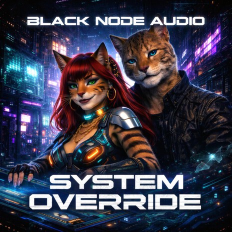 SYSTEM SLEEP