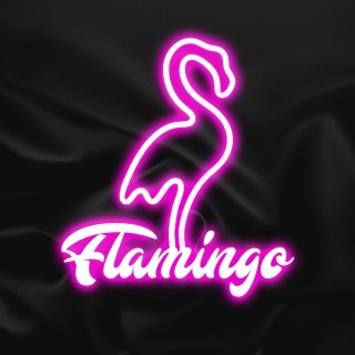 Flamingo cover art