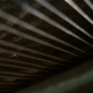 Dig down the rabbit hole cover art