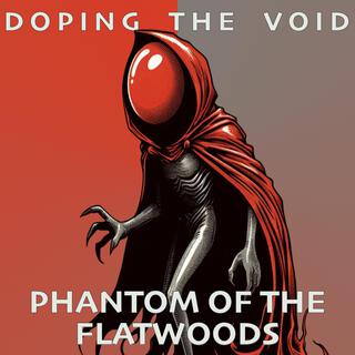Phantom of the Flatwoods cover art