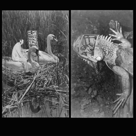 Metamorphosis ft. lil kyo XR & Polyphonic Exophilia cover art