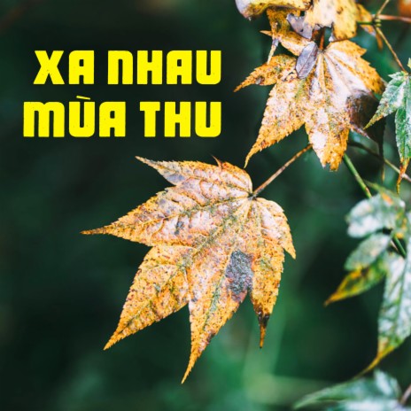 Thu vàng (Instrumental) cover art