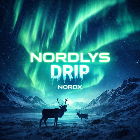 Nordlys drip