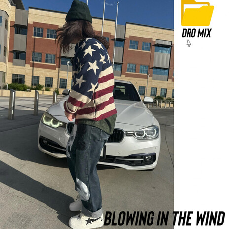 Blowing in the Wind cover art