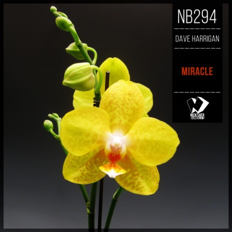 Miracle (New Edit) cover art