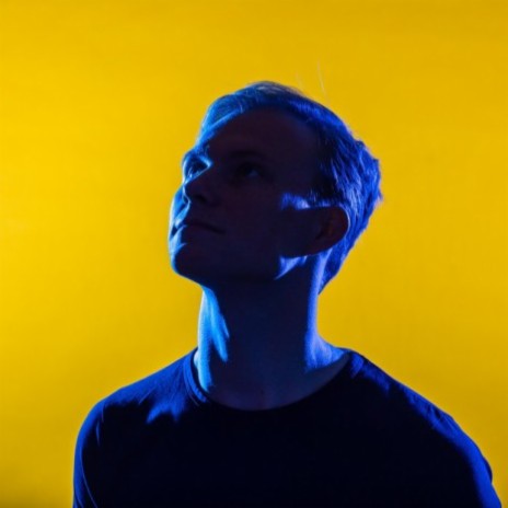 Tim van Werd