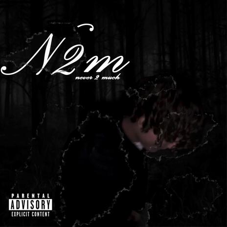 i aint new to dis cover art