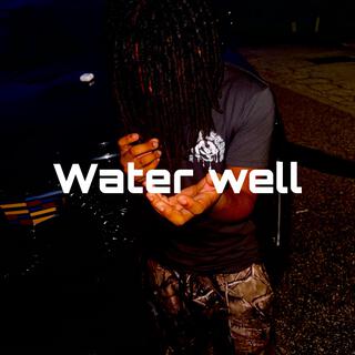 Water well cover art