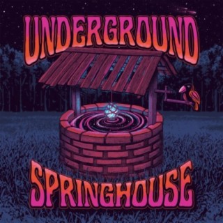 Underground Springhouse
