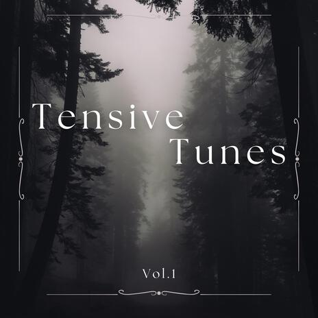 Tensione 13 cover art