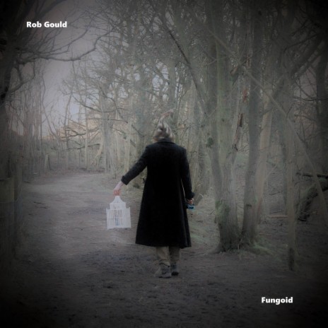 Fungoid (Return To Mushroom Hill) cover art