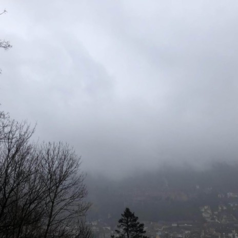 Nebel