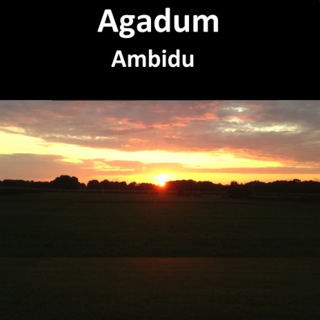 Analogic cover art